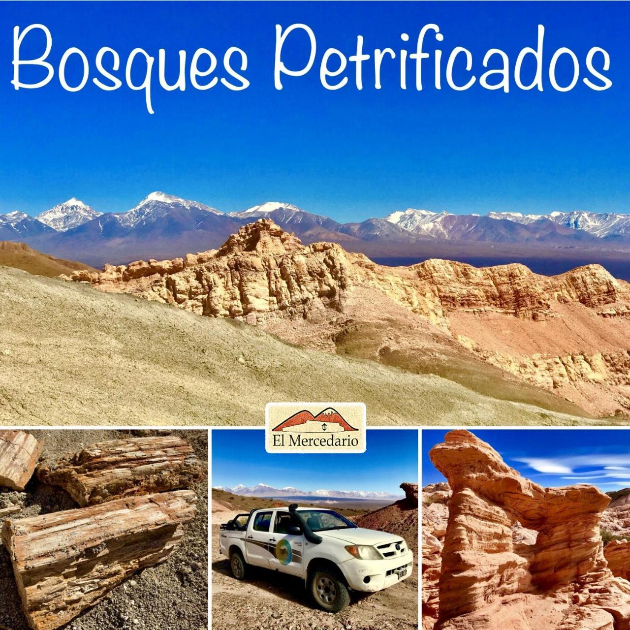 Ecoposada El Mercedario Barreal Esterno foto