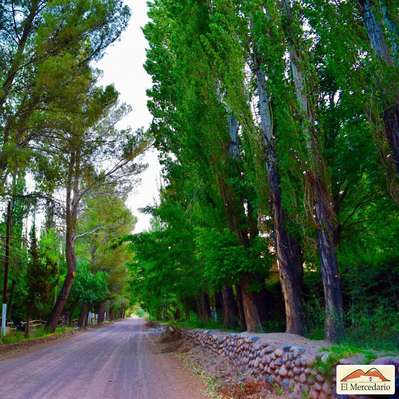 Ecoposada El Mercedario Barreal Esterno foto